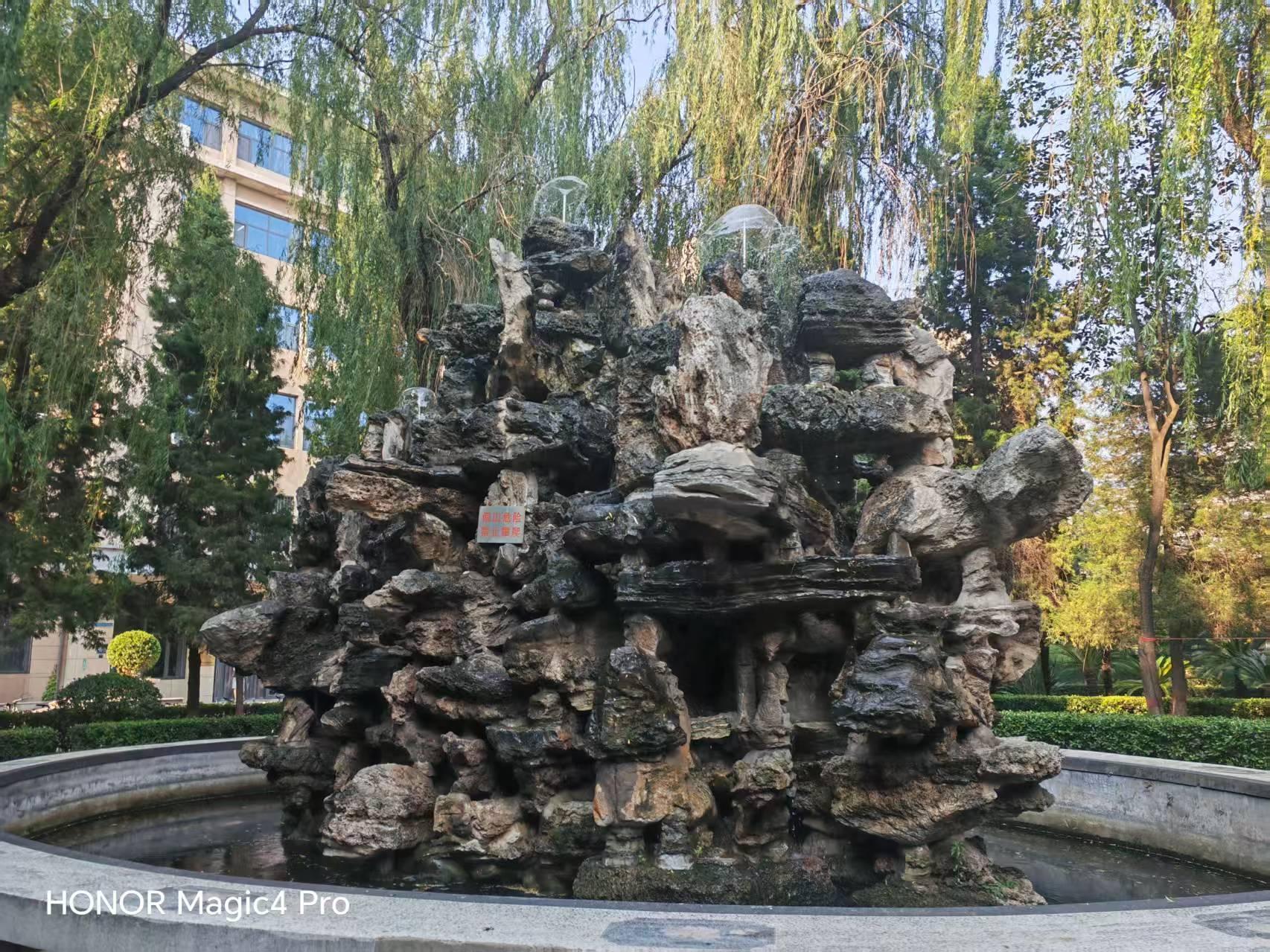 202.jpg