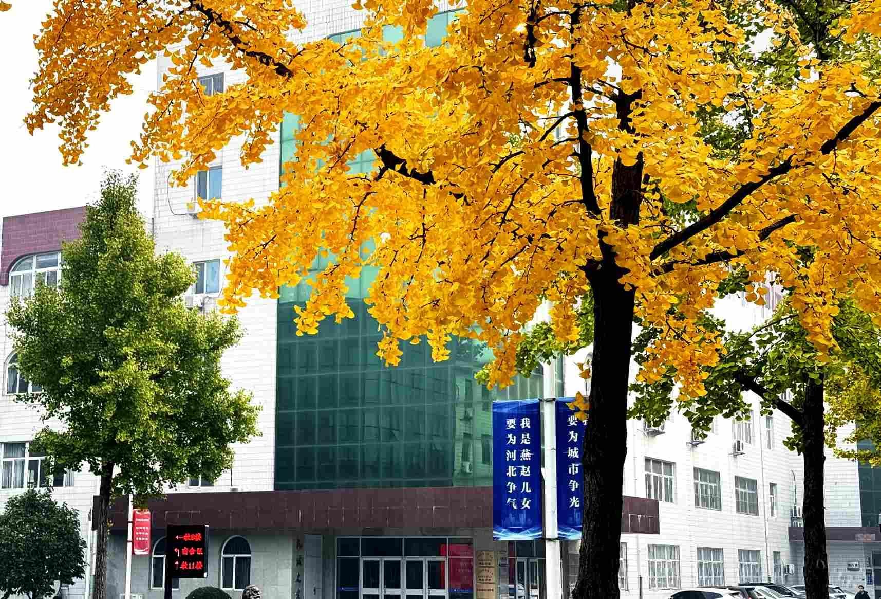 2025校园秋 (23).jpg