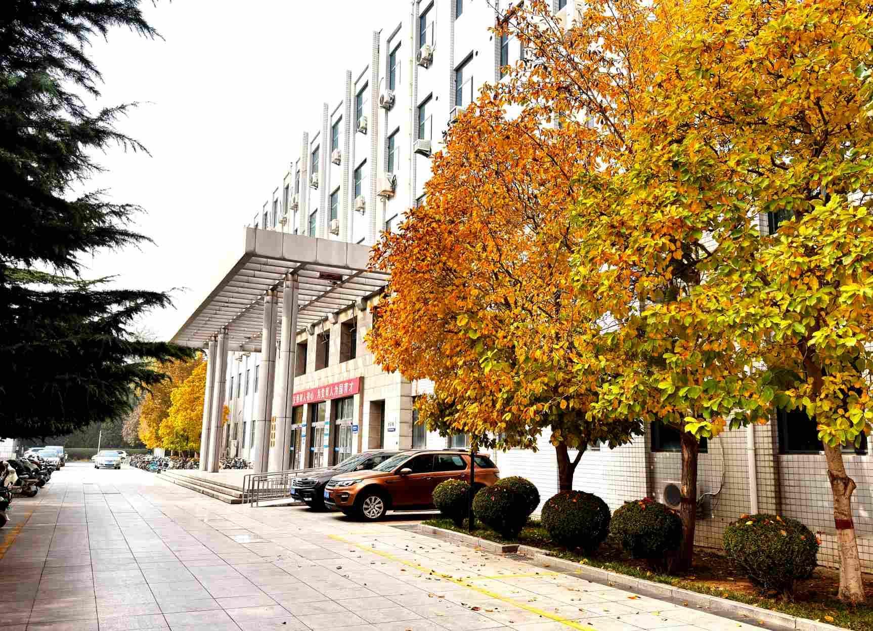 2025校园秋 (32).jpg