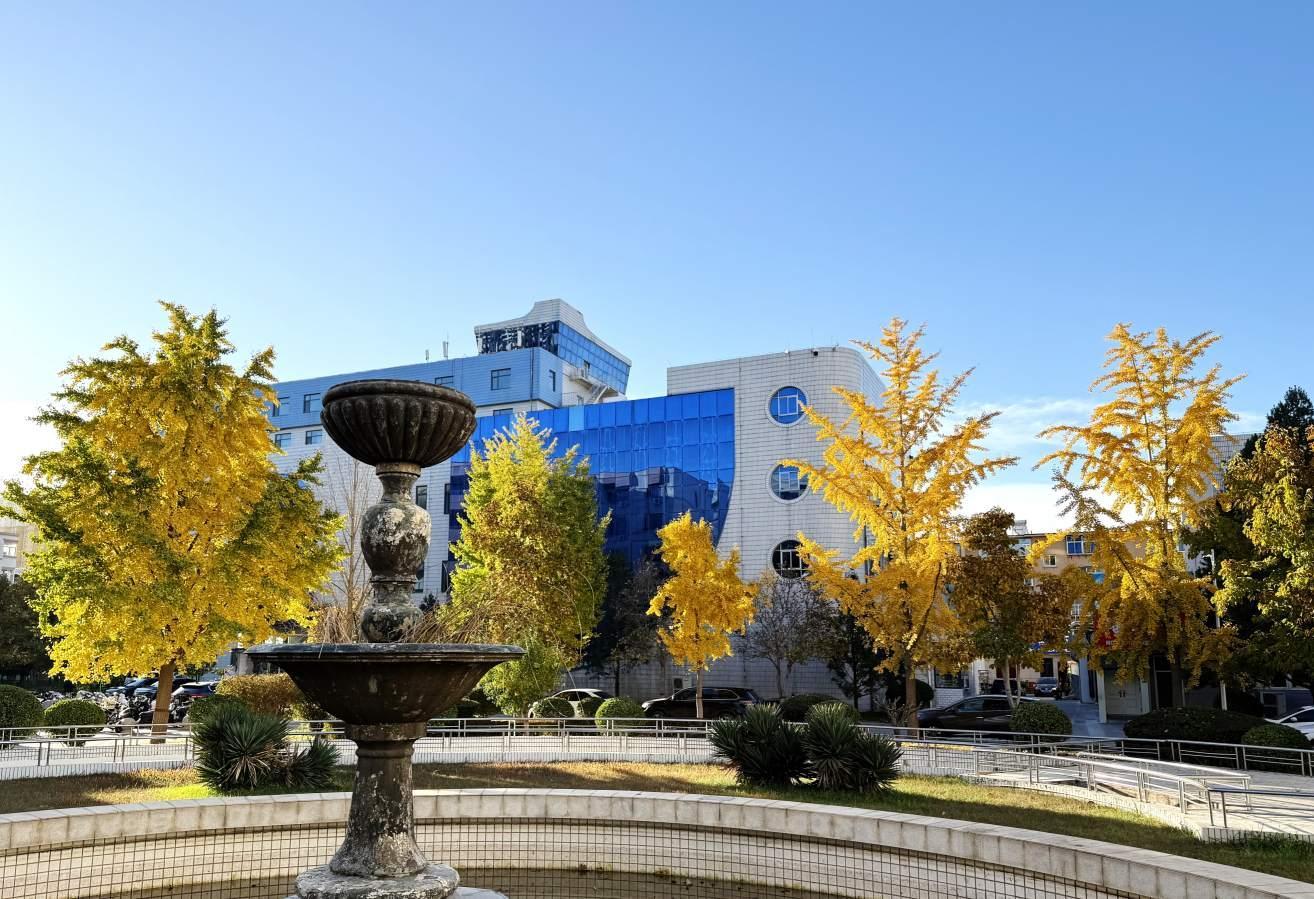 2025校园秋 (12).jpg