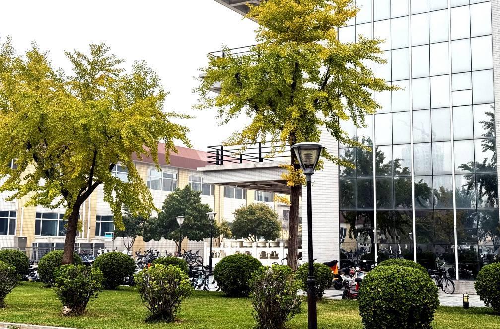 2025校园秋 (21).jpg