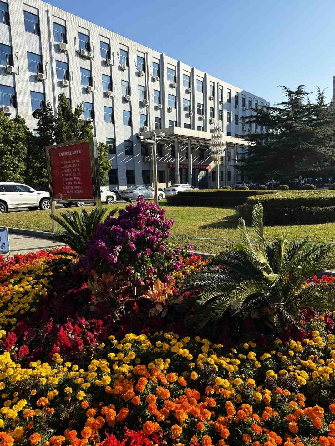 2025校园秋 (25).jpg