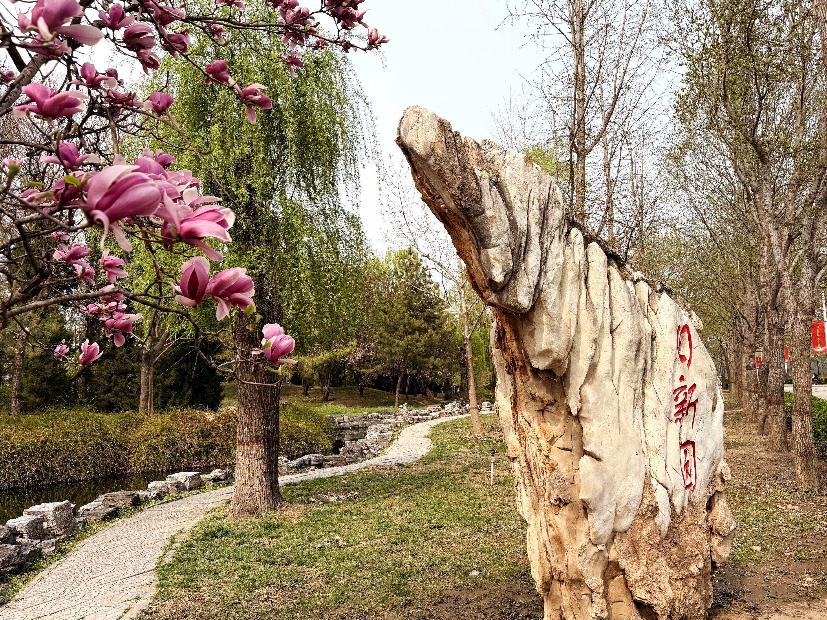 我的日新园 (手机拍摄） (38).jpg