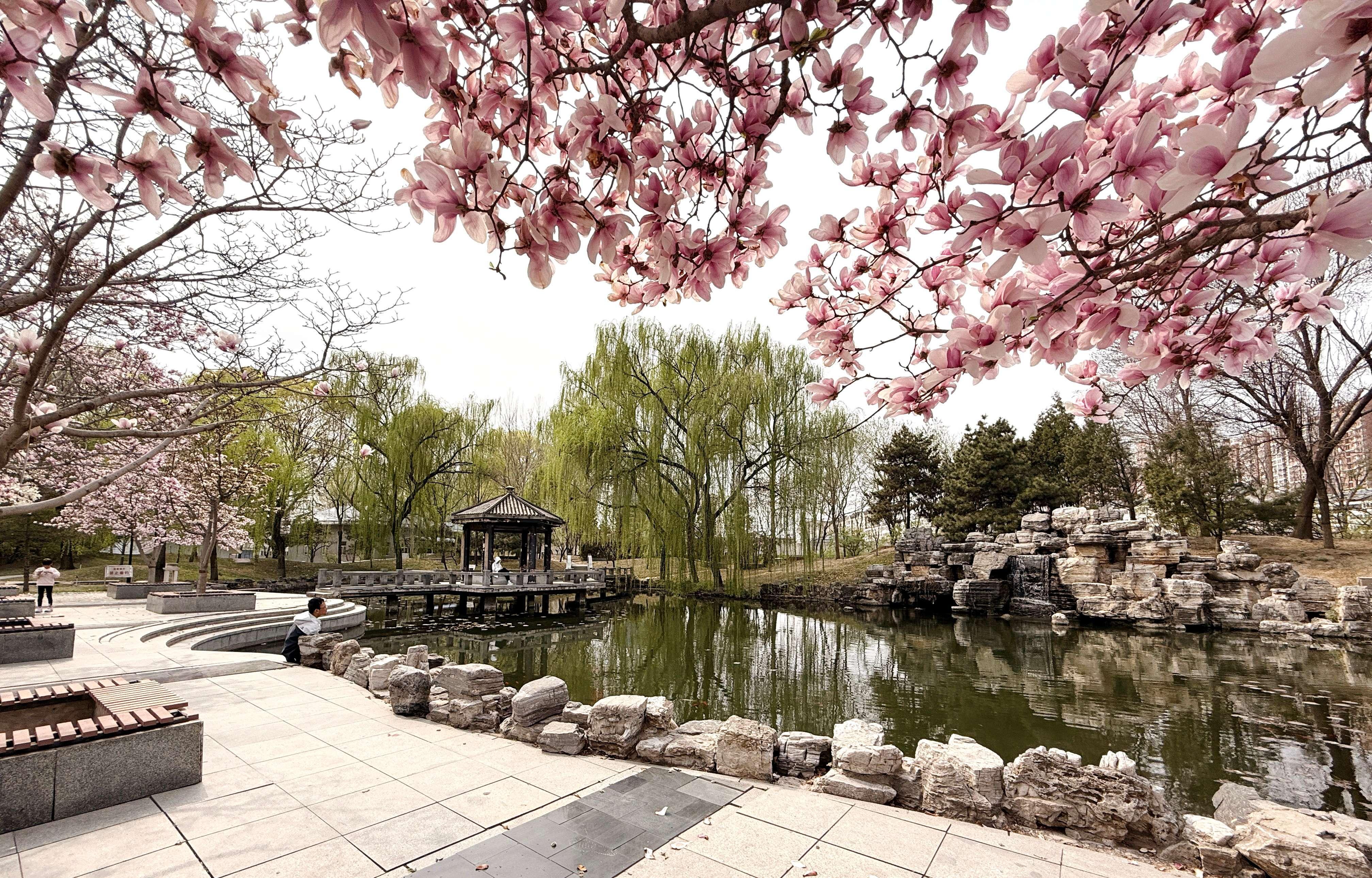 我的日新园 (手机拍摄） (55).jpg